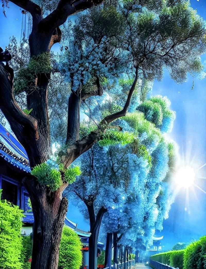 南桉树花语代表什么？生长环境和特点是什么？