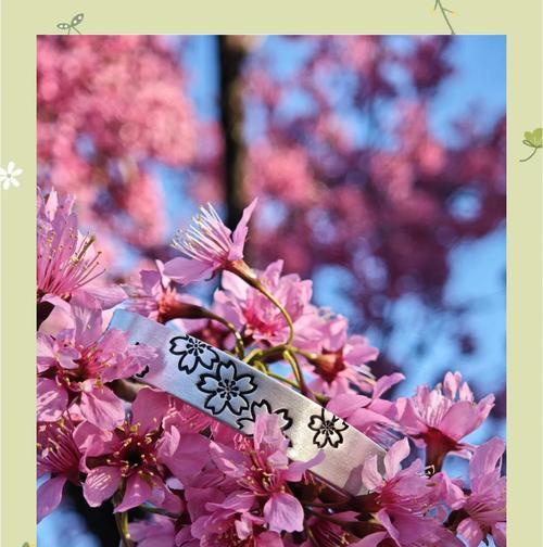 白雪樱花花语是什么？它如何影响人们的情感？
