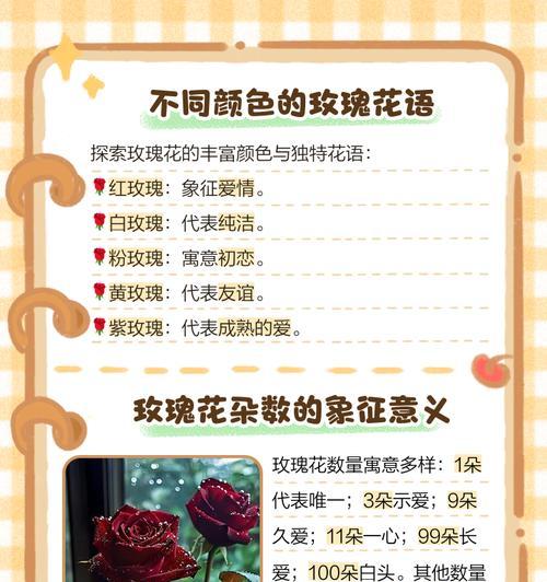 花语代表意义有哪些？如何通过花语传达情感？
