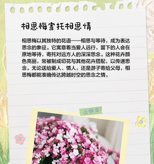 忘记爱的花语是什么？它如何帮助人们处理情感问题？