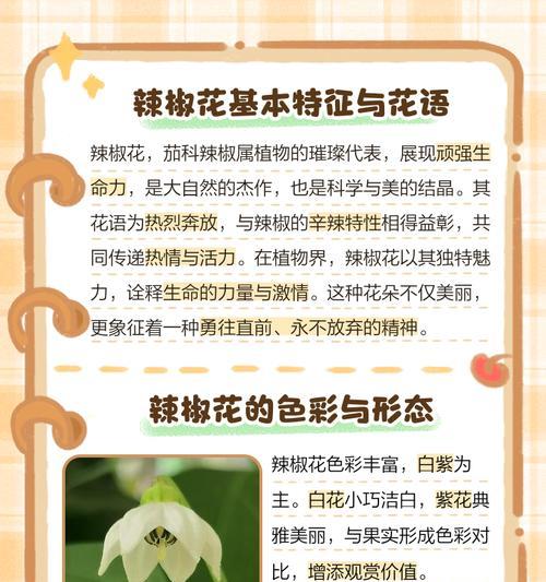 美人娇花花语是什么？它如何成为美的象征？