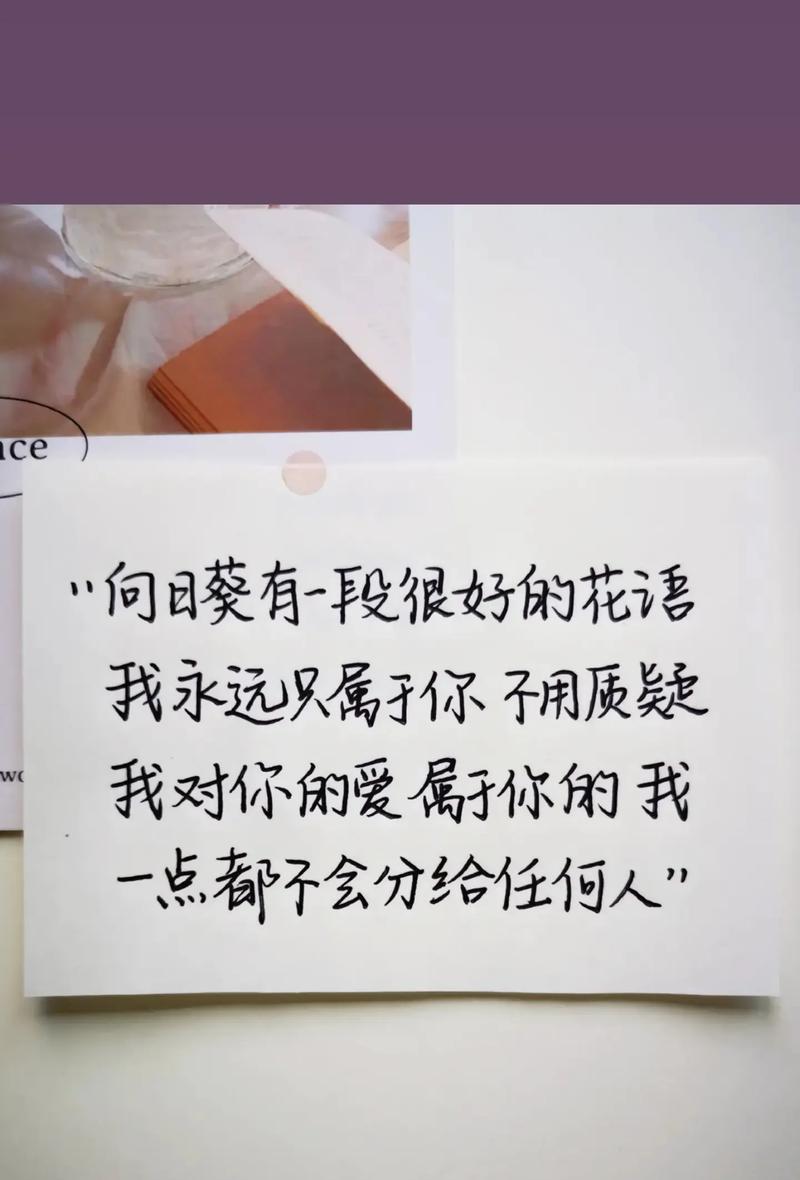 向阳葵的花语有哪些？向阳葵代表了什么？