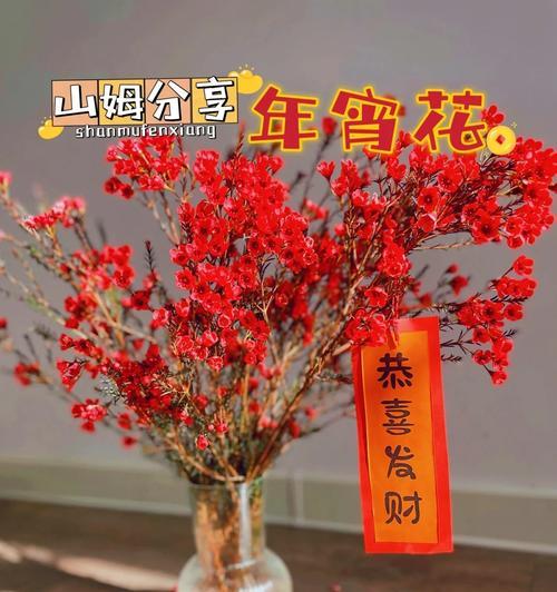 达摩花的花语有哪些？达摩花象征着什么？