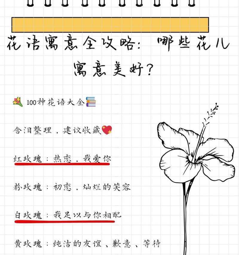 基本花的花语有哪些？适合哪些场合赠送？
