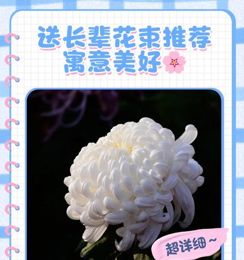 表达爱家人的花语有哪些？如何选择合适的花卉？