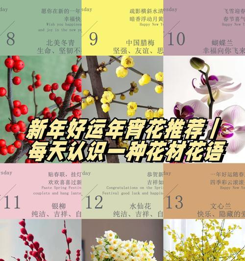 大麦花穗的花语有何特别之处？适合什么场合？