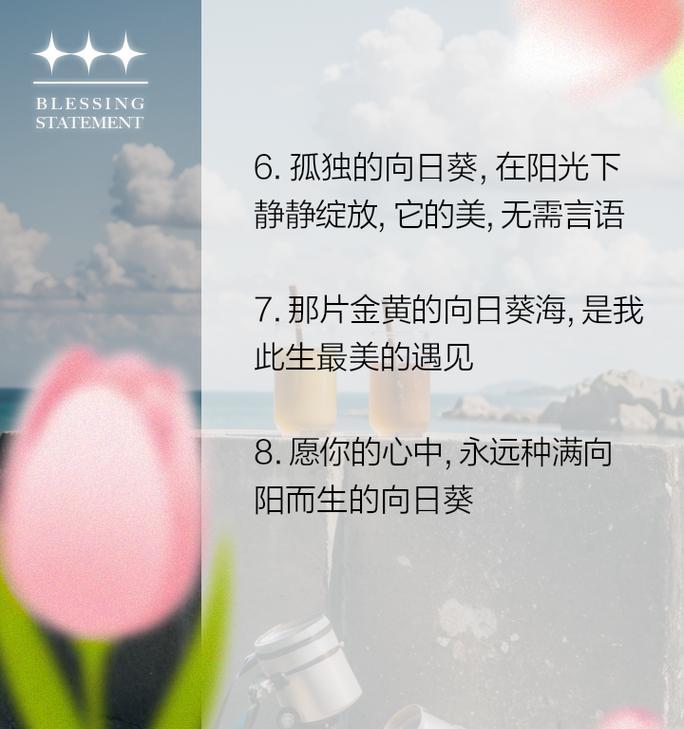 太阳花的花语言是什么？如何用太阳花表达情感？