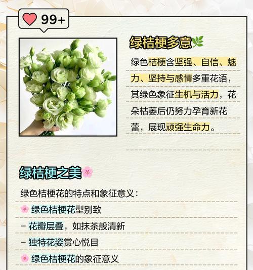 木桔梗的花语有何深意？如何正确种植？