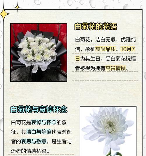 菊花花语多只是什么意思？如何正确解读？