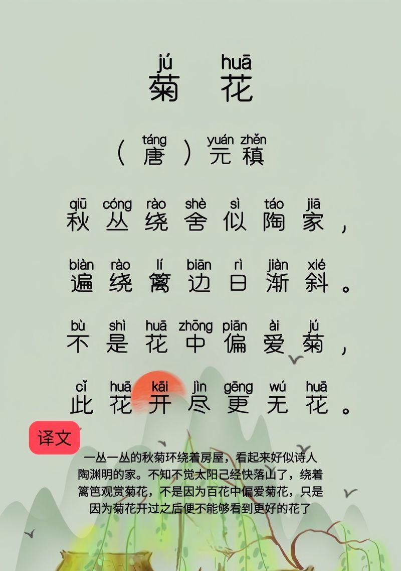 菊花花语多只是什么意思？如何正确解读？
