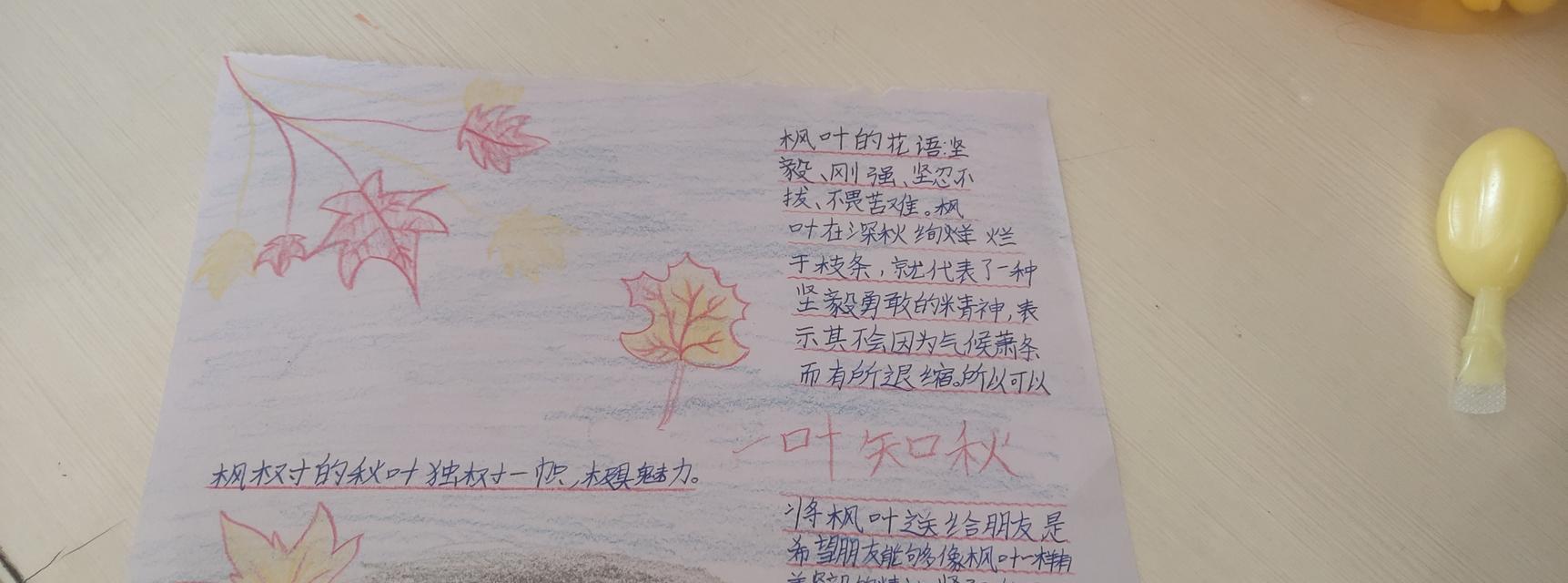 清枫树的花语有何特别之处？适合什么场合？