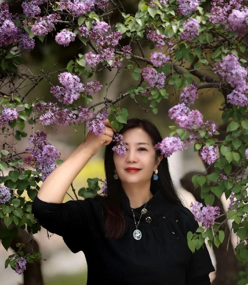 水丁香的花语是什么？它在花语中代表什么？