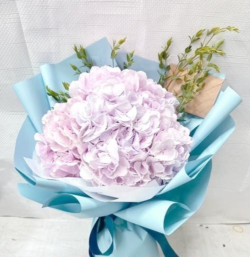 水丁香的花语是什么？它在花语中代表什么？