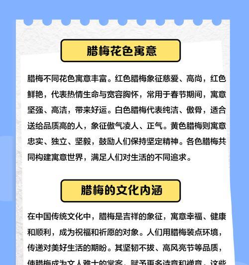 腊梅菊的花语有何寓意？如何用它表达情感？