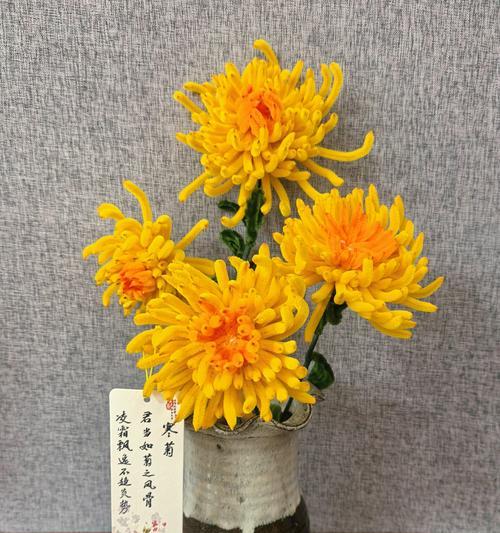 珊瑚棒的花语有何特别之处？适合什么场合？