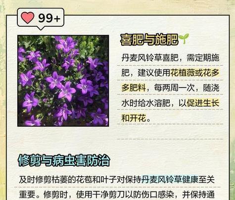 风车草的花语是什么？它在花语中代表什么？