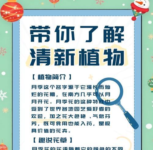 月季花语代表什么？如何用月季表达歉意？