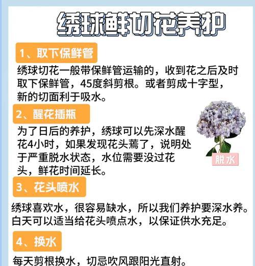 木本植物有哪些花语？它们各自代表什么含义？