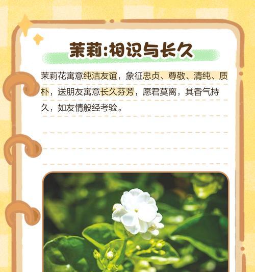 哪种花的花语代表改变？它如何影响人们的情感？