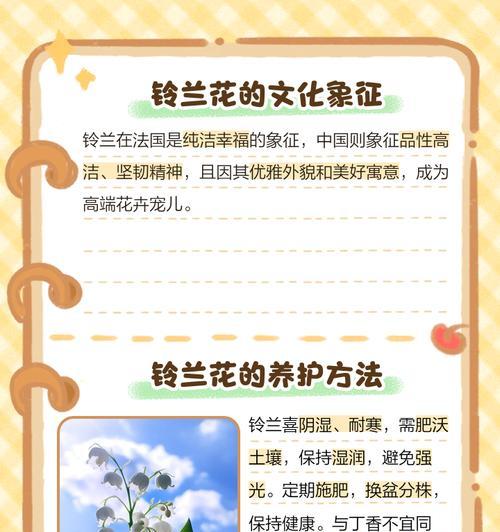 哪种花的花语代表改变？它如何影响人们的情感？