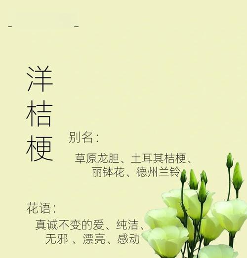 咖啡桔梗花语代表什么？
