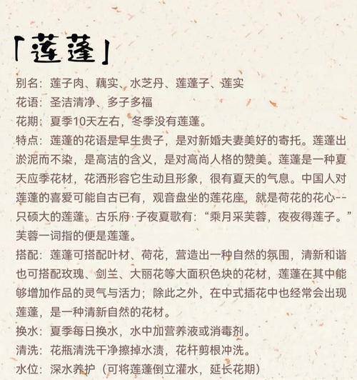 莲蓬玫瑰花语有何寓意？