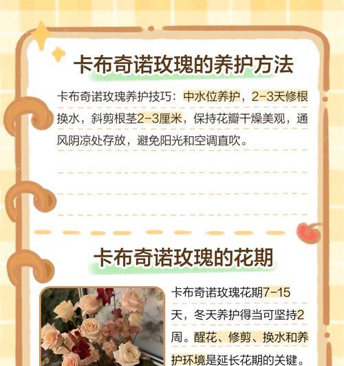 飞翔玫瑰花语代表什么？如何传递爱的信息？