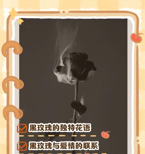 飞翔玫瑰花语代表什么？如何传递爱的信息？