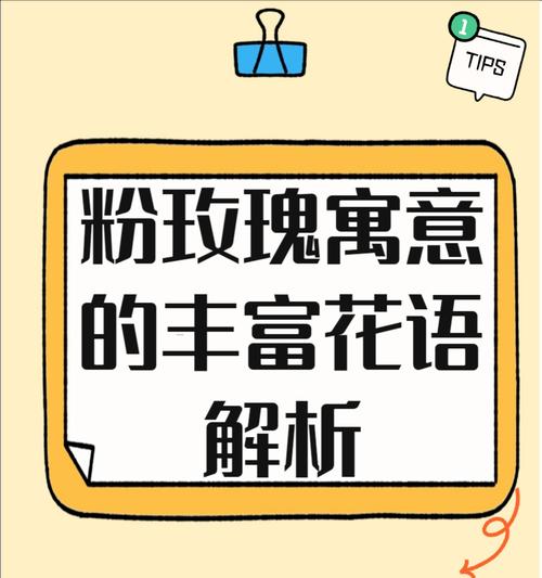 花语永不再爱的含义是什么？如何表达这种情感？
