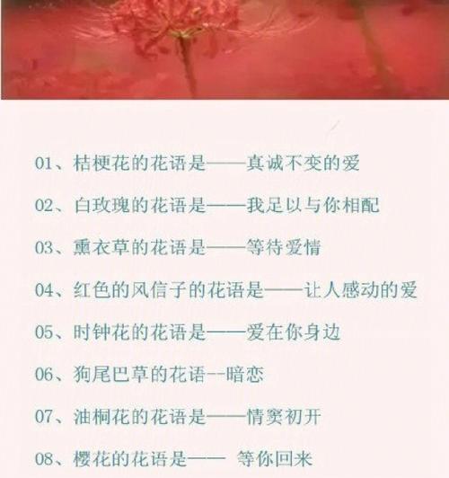 有人爱的花语有哪些？如何表达被爱的感觉？
