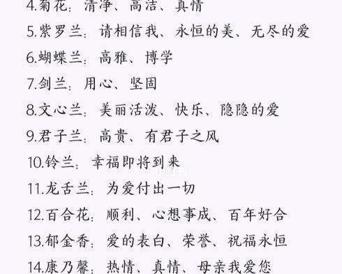 大绒球的花语是什么？如何用它来表达情感？