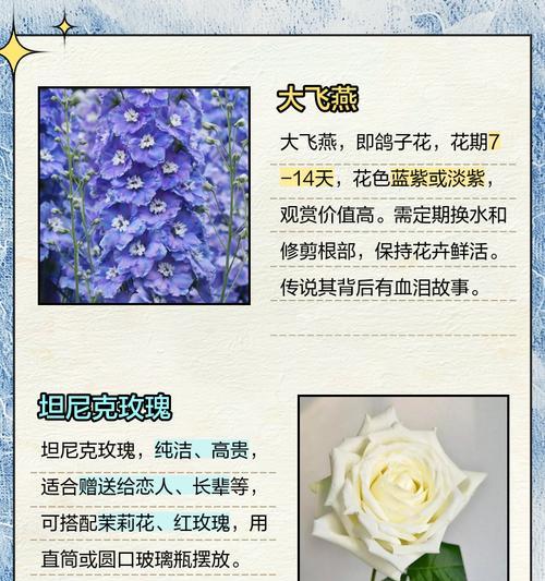 花语石的故事是什么？如何通过石头传递情感？