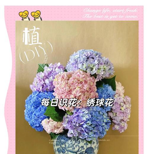 忠诚花语的花有哪些？如何用花表达忠诚？