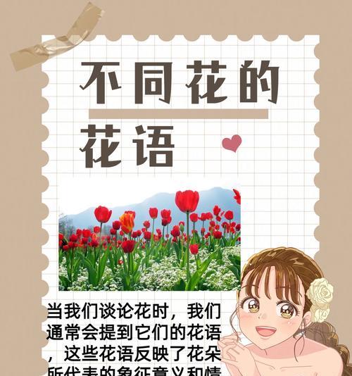 日本香兰花语是什么？如何用它来表达情感？
