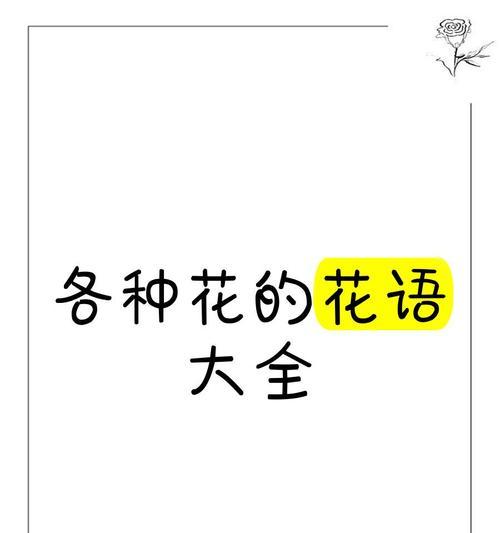 日本香兰花语是什么？如何用它来表达情感？