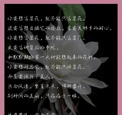 夜昙花的花语是什么？如何用它来表达情感？