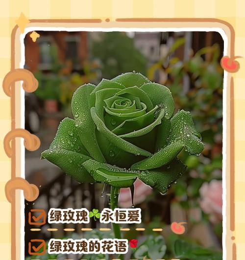 绿绿草的花语代表什么？它在花语中有什么寓意？