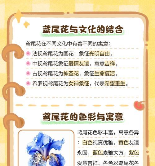 长花语及寓意是什么？长花在花语中代表什么？