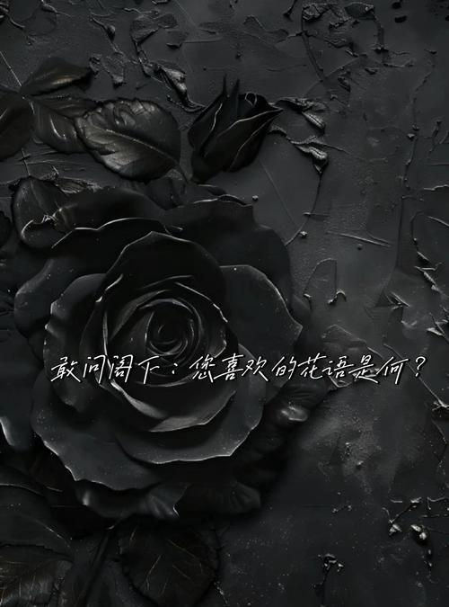 花语大全月昙包含哪些内容？月昙花语有何特别之处？
