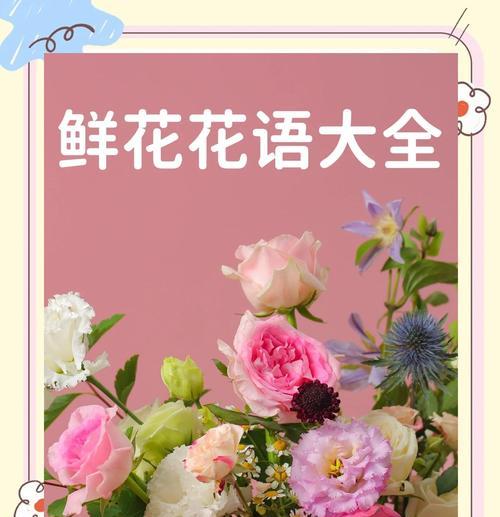 花语大全月昙包含哪些内容？月昙花语有何特别之处？