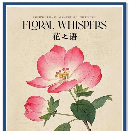 不重花的花语是什么意思？它在花语中扮演什么角色？