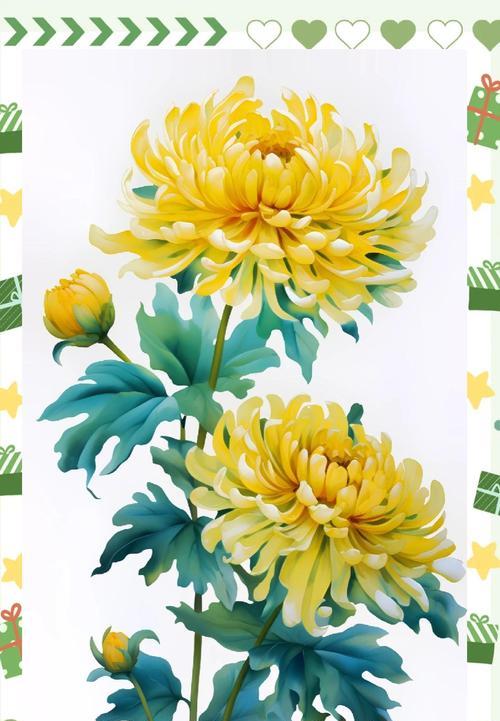 秋季菊花花语是什么？菊花在秋季表达什么样的情感？