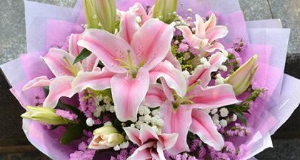 12卷的花语代表什么？