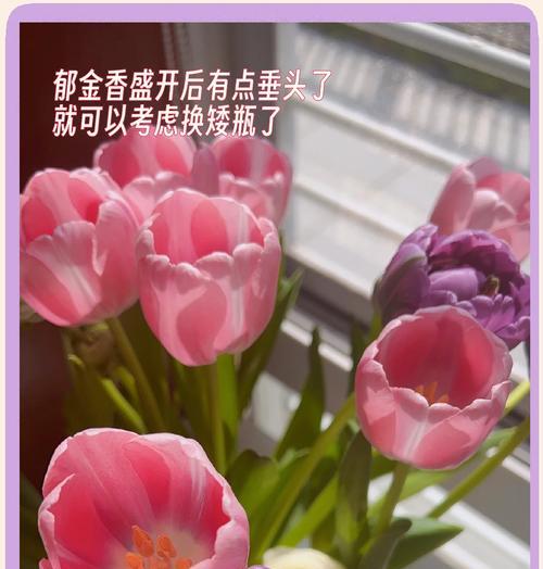 瓶子花的花语代表什么？