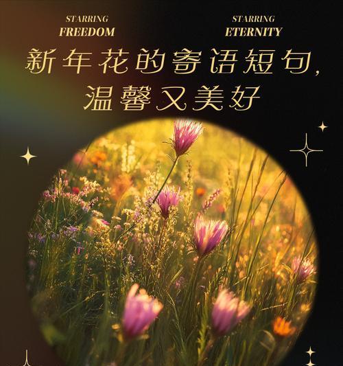 寄花语代表什么含义？