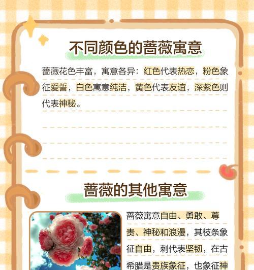 茉莉蔷薇花语有何寓意？