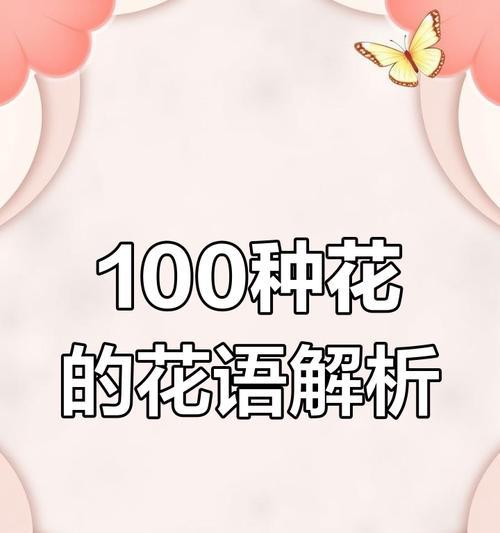 荷兰铁的花语有何含义？