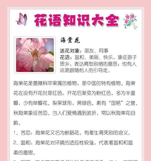天香花的花语是什么？