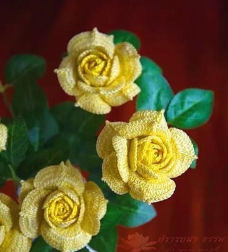 芭蕾果的花语有何特别之处？它象征着什么？