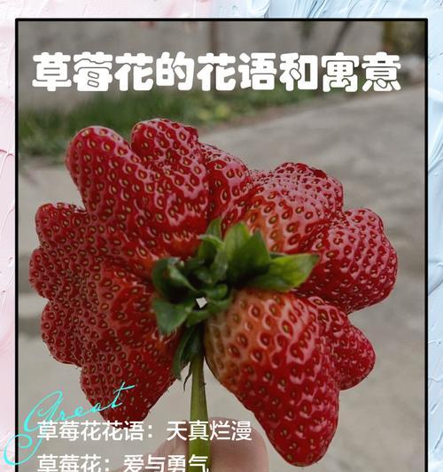 西瓜的花语是什么？它在水果中有什么独特含义？